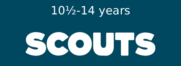 scouts_box